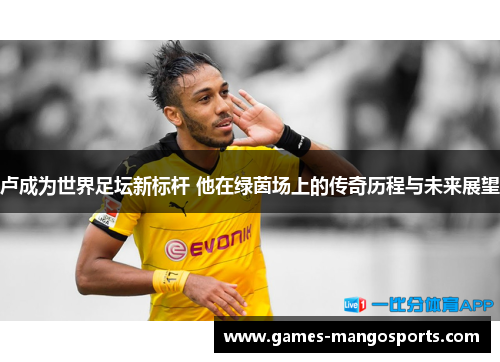 卢成为世界足坛新标杆 他在绿茵场上的传奇历程与未来展望