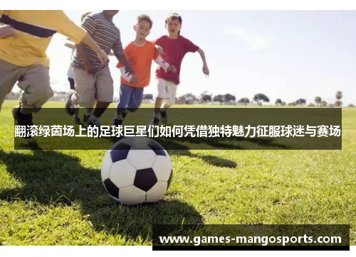翻滚绿茵场上的足球巨星们如何凭借独特魅力征服球迷与赛场