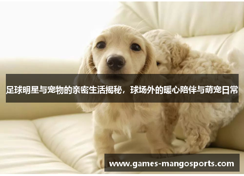 足球明星与宠物的亲密生活揭秘，球场外的暖心陪伴与萌宠日常
