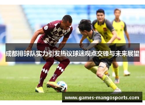 成都排球队实力引发热议球迷观点交锋与未来展望